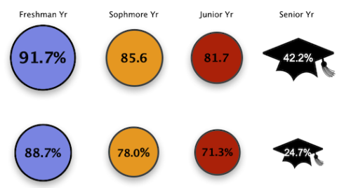 detail - stats from infographic